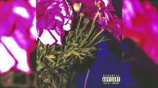 LIN3 (Music Audio)