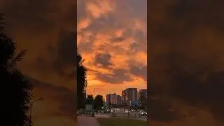 Сургутские закаты