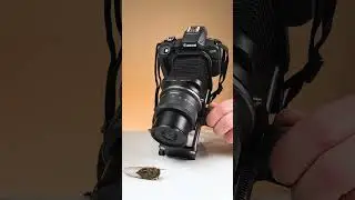 Extreme Macro with Fotodiox Macro Bellows #macrophotography #photography