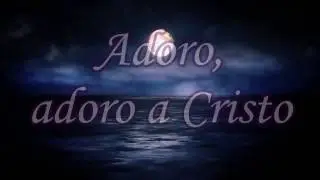 Adoro a Cristo  -Palabra en Acción