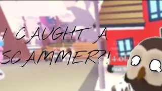 DID I CATCH A SCAMMER?! ( Adopt me, Roblox )