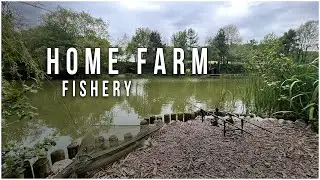Home Farm Fisheries - My First Ever Cat! 🤢 - On The Bank! - Ep.10