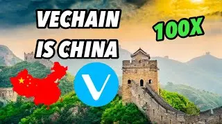 VECHAIN/VET USHERS IN A NEW ERA / Sunny Lu AMA / Sustainability