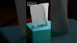 Tissue Holder