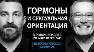 Как гормоны формируют сексуальную ориентацию и поведение | Д-р Марк Бридлав  | Перевод Huberman