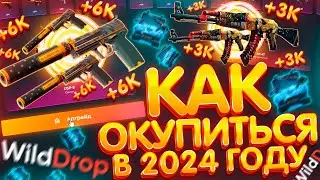 КАК ОКУПИТЬСЯ на САЙТЕ WILD DROP в 2024 ГОДУ!? ПРОМОКОД на WILDDROP - ПРОВЕРКА! КЕЙСЫ CS2 - ХАЛЯВА!