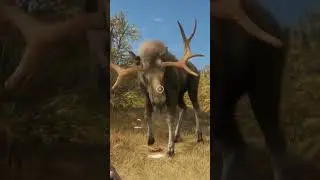 Can someone tell me what just happened 