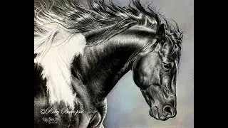 Paint Stallion Pastel Demo