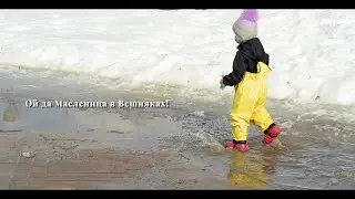 Масленица в Вешняках