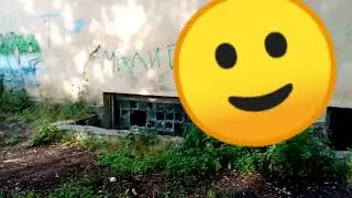 гуляю с руди