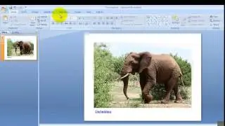 Creative Commons in Google Image Search