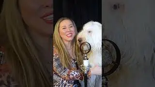 Юлия Феста - Can You Feel the Love Tonight (Elton John)