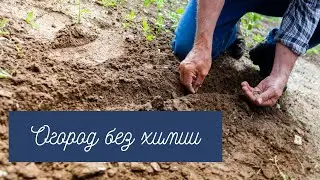 Огород без химии, переходим к природному земледелию.