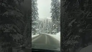 Буковель 28.11.2023