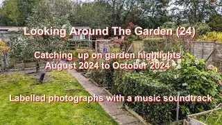 095-Looking Around The Garden (24)-13th October 2024