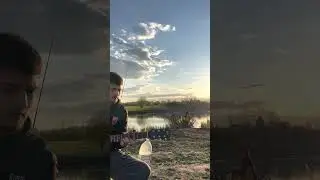 Отрывок из песни Саши Заифи-Чонбицак чизард ту дуне ят замон хато вине