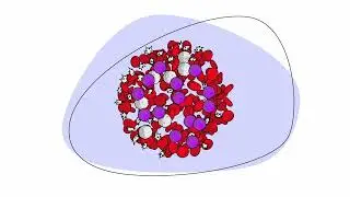 Active surveillance of chronic lymphocytic leukemia (CLL)