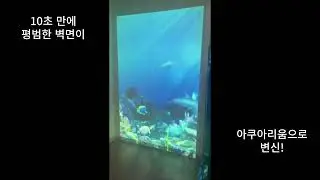 10초만에 평범한 벽면을 대형 아쿠아리움으로 만드는 방법.