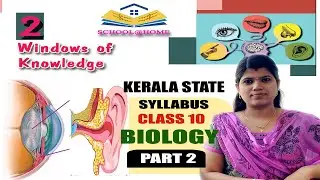 Class 10 Biology Second chapter Windows of Knowledge -- Part 2