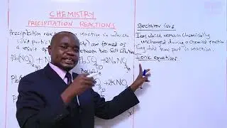 Precipitation Reactions