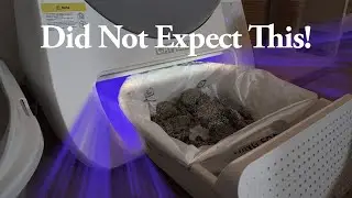 We Tested the CATLINK Luxury Pro-X AI Litter Box – Watch This Before You Buy!