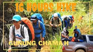 Gunung Chamah Vlog  查瑪山之旅