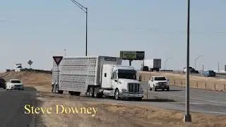 Cattle haulers: Steve Downey