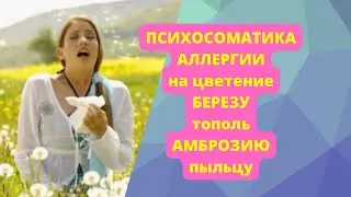 Психосоматика аллергии на цветение | Аллергия на берёзу психосоматика | Причины поллиноза