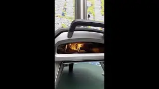 What can you cook in a pizza oven?