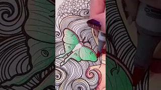 Luna Moth drawing #art #artist