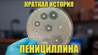 Краткая история пенициллина