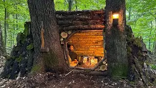 Bushcraft SURVIVAL Shelter; Building  Warm Natural Dugout and Fireplace. Tree House. Asmr Camping