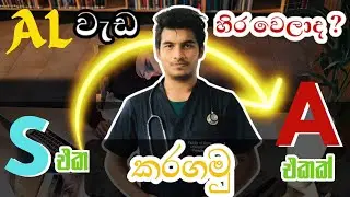 ඔයාගේ S එක A එකක් කරගන්න මේ විදියට වැඩ කරන්න | AL exam tips
