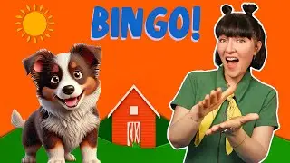 BINGO | Nursery Rhymes for Toddlers | Sing Along Fun for Kids