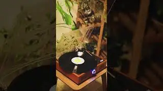 Pikaplı Kış Geceleri başlasın!