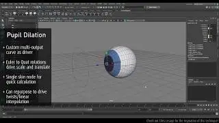 Pupil Dilation Rig (Linear Interpolation)