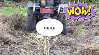Картофель под сеном капаем мотоблоком  НЕВА