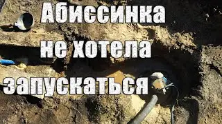 There wasn't enough water for the flush. The Abyssinian well didn't start up the first time. The ...