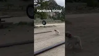 The most amazing freestyle tire bowling ever!
