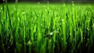 Rainstorm Sounds for Relaxing, Focus or Deep Sleep | Nature White Noise | 1 Hour Video