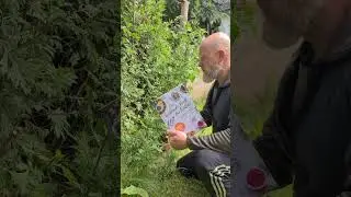 Outdoor Buch-Tipp #heilpflanzen #tee #bushcraft
