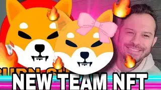 Shiba Inu Coin | SHEboshi SHIB Project, Not What I Expected