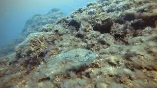 La Herradura, El Hierro, Octubre de 2020