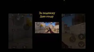 #читер