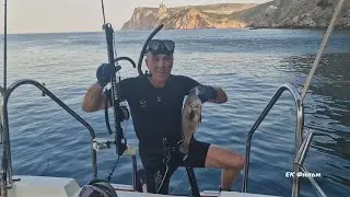 Море Рыба