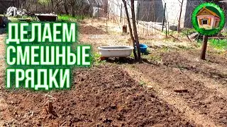 DUG UP NEW GROUND. MAKE A FUNNY PATCH. How To Make The Beds. Rescued A Nest Of Magpies