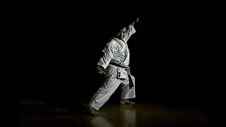 GENKAKU (玄鶴) - Saiko Shihan Goshi Yamaguchi - Goju-Kai