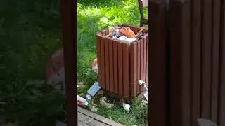 ЭТО ОНИ ИЛИ ЭТО МЫ?