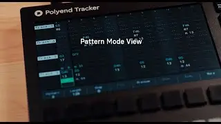 Polyend Tracker Tutorial - Pattern Mode View