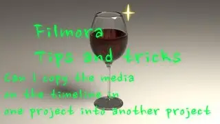 Can I copy the media on the timeline in one project into another project
